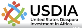USDIA GROUP LTD